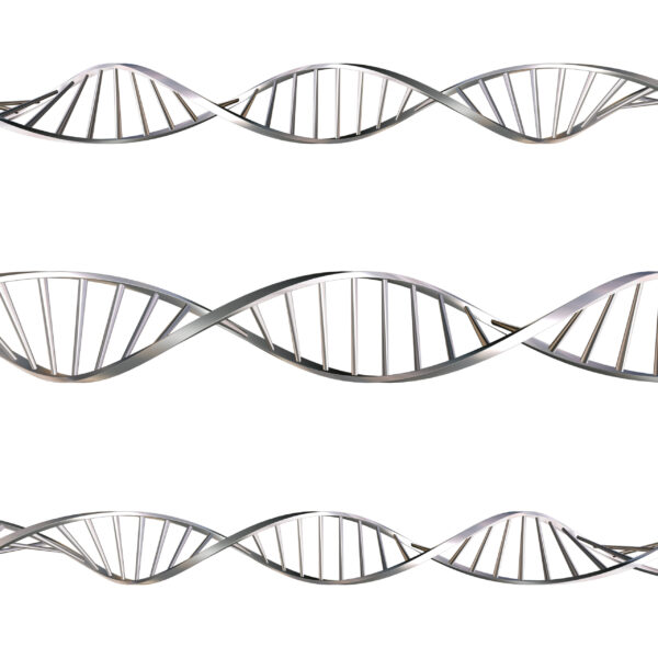 Équilibre Essentiel – Image 4