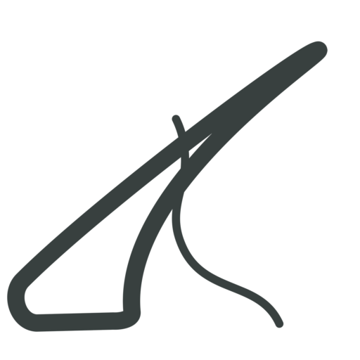 LX Boost Logo